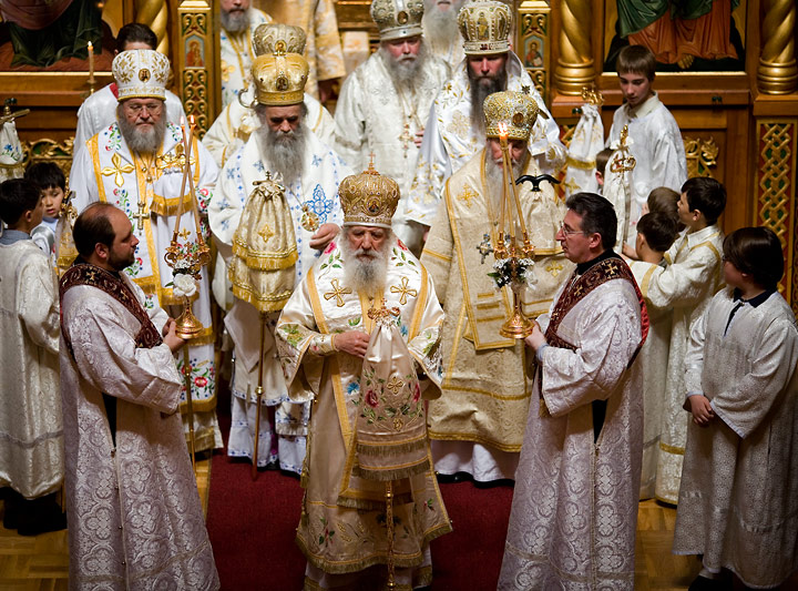 Ortodoxos